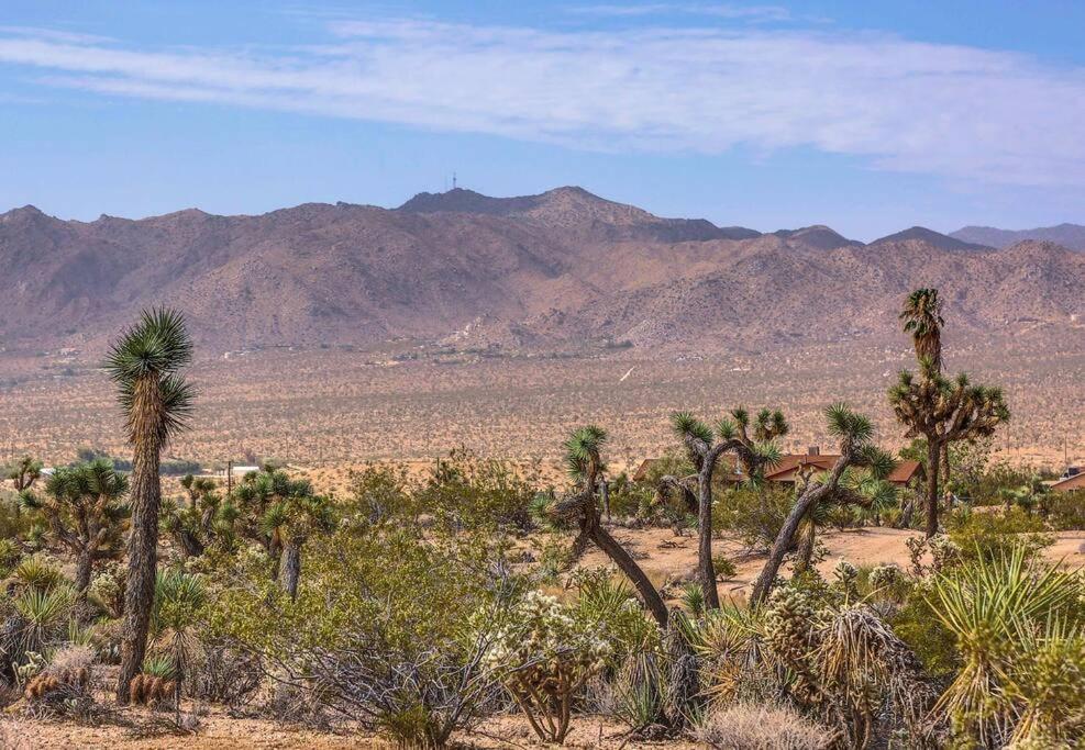 Jt Cottage Yucca Valley Eksteriør bilde